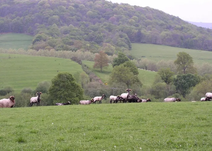 Villa Entre Et Montagne Hasparren